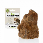 ANIBIO KAUWURZEL – KORENINA...